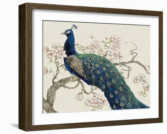 Peacock and Blossoms II-Tim O'toole-Framed Art Print