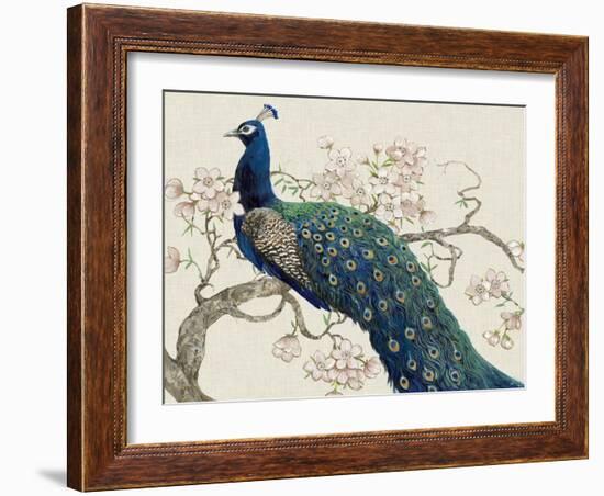 Peacock and Blossoms II-Tim O'toole-Framed Art Print