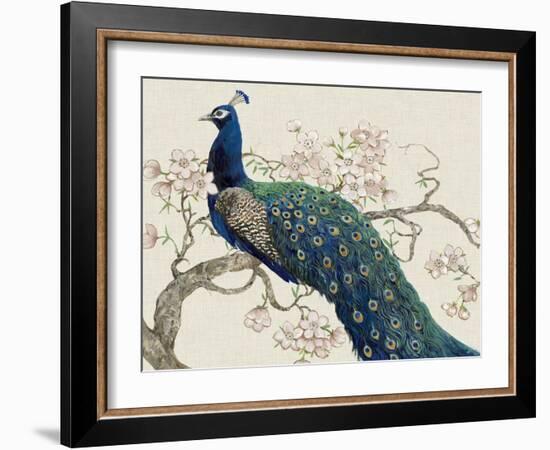 Peacock and Blossoms II-Tim O'toole-Framed Art Print