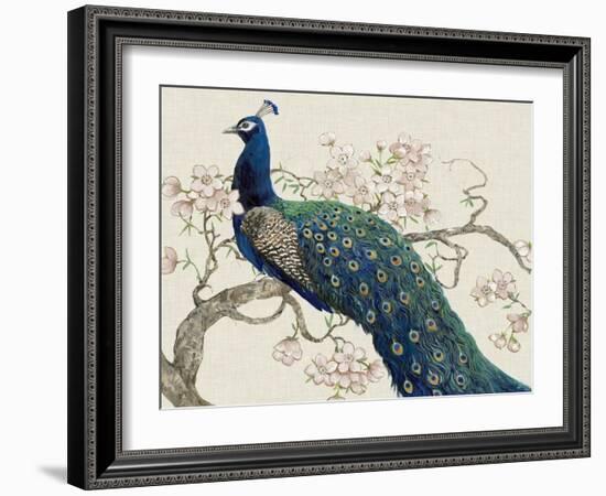 Peacock and Blossoms II-Tim O'toole-Framed Art Print