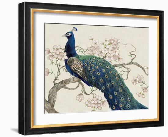 Peacock and Blossoms II-Tim O'toole-Framed Art Print