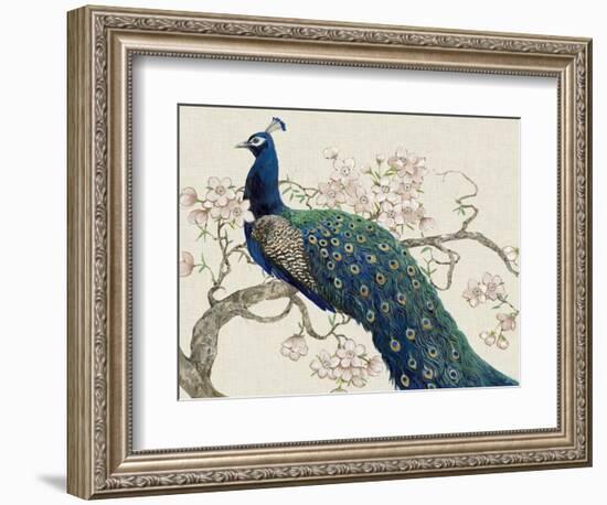 Peacock and Blossoms II-Tim O'toole-Framed Premium Giclee Print