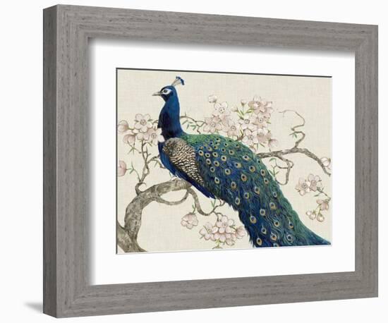 Peacock and Blossoms II-Tim O'toole-Framed Premium Giclee Print