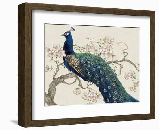 Peacock and Blossoms II-Tim O'toole-Framed Premium Giclee Print