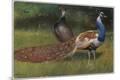 Premium Giclee Print