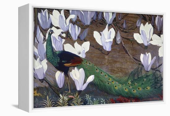 Peacock and Magnolia-Jesse Arms Botke-Framed Stretched Canvas