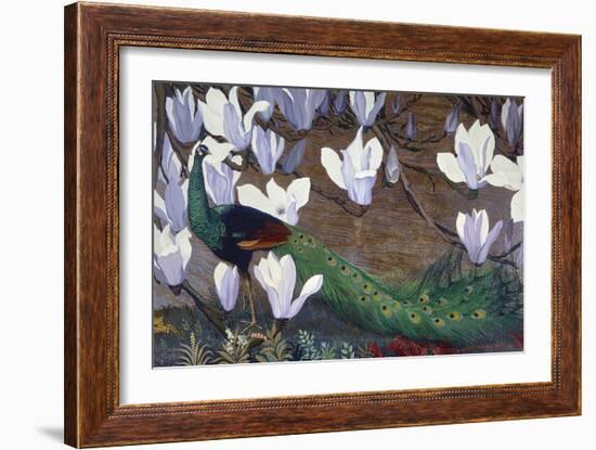 Peacock and Magnolia-Jesse Arms Botke-Framed Art Print