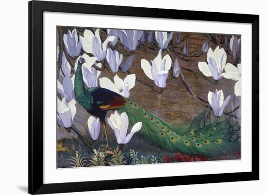 Peacock and Magnolia-Jesse Arms Botke-Framed Art Print