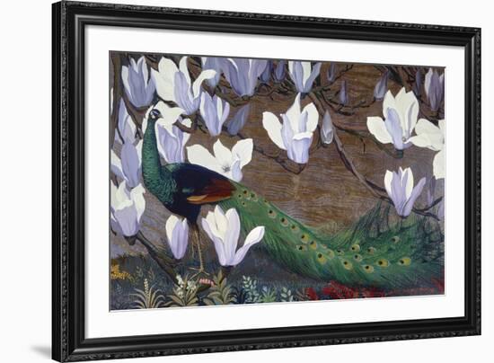 Peacock and Magnolia-Jesse Arms Botke-Framed Art Print