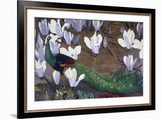 Peacock and Magnolia-Jesse Arms Botke-Framed Art Print