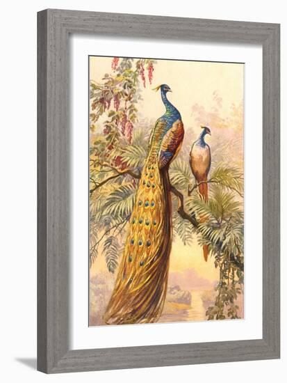 Peacock and Peahen, Illustration-null-Framed Premium Giclee Print