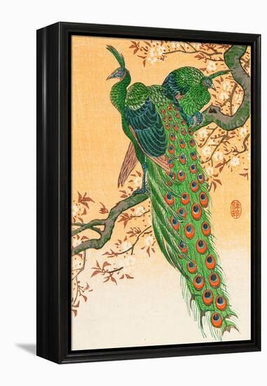 Peacock and Peahen on Branch-Koson Ohara-Framed Premier Image Canvas