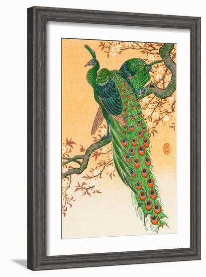 Peacock and Peahen on Branch-Koson Ohara-Framed Giclee Print