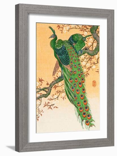 Peacock and Peahen on Branch-Koson Ohara-Framed Giclee Print