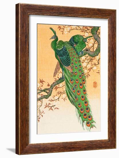 Peacock and Peahen on Branch-Koson Ohara-Framed Giclee Print