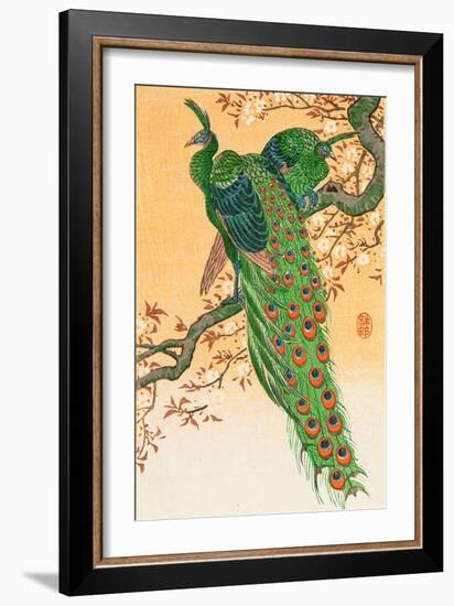 Peacock and Peahen on Branch-Koson Ohara-Framed Giclee Print