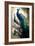 Peacock and Peahen on the tree branch I-Vivienne Dupont-Framed Art Print