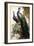 Peacock and Peahen on the tree branch-Vivienne Dupont-Framed Art Print