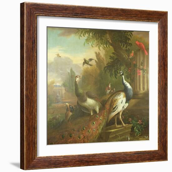 Peacock and Peahen with a Red Cardinal in a Classical Landscape-Tommaso Masaccio-Framed Giclee Print