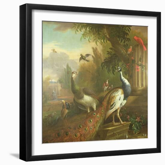 Peacock and Peahen with a Red Cardinal in a Classical Landscape-Tommaso Masaccio-Framed Giclee Print