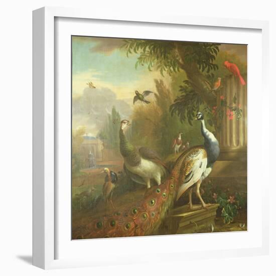 Peacock and Peahen with a Red Cardinal in a Classical Landscape-Tommaso Masaccio-Framed Giclee Print