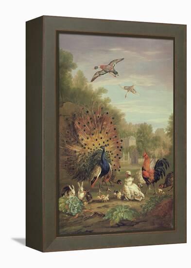 Peacock and Rabbits in a Landscape-Pieter Casteels-Framed Premier Image Canvas
