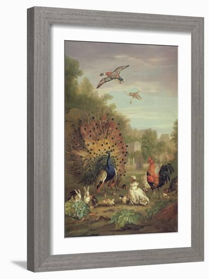 Peacock and Rabbits in a Landscape-Pieter Casteels-Framed Giclee Print