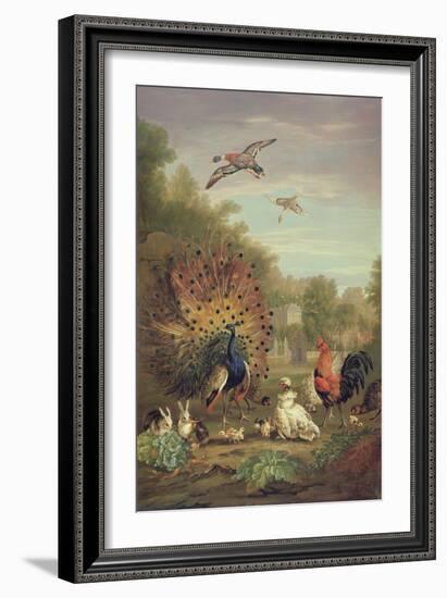 Peacock and Rabbits in a Landscape-Pieter Casteels-Framed Giclee Print