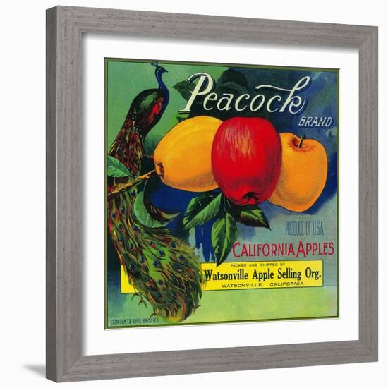 Peacock Apple Crate Label - Watsonville, CA-Lantern Press-Framed Art Print