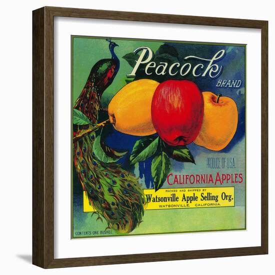 Peacock Apple Crate Label - Watsonville, CA-Lantern Press-Framed Art Print