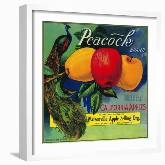 Peacock Apple Crate Label - Watsonville, CA-Lantern Press-Framed Art Print