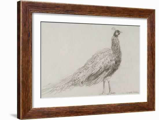 Peacock at Capel Curig, C.1845-David Cox-Framed Giclee Print