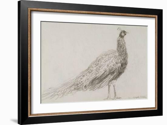 Peacock at Capel Curig, C.1845-David Cox-Framed Giclee Print