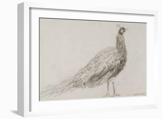 Peacock at Capel Curig, C.1845-David Cox-Framed Giclee Print