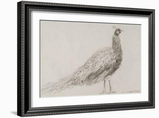 Peacock at Capel Curig, C.1845-David Cox-Framed Giclee Print