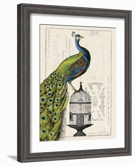 Peacock Birdcage I-Hugo Wild-Framed Art Print