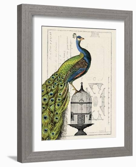 Peacock Birdcage I-Hugo Wild-Framed Art Print