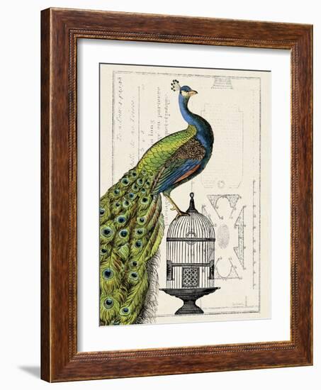 Peacock Birdcage I-Hugo Wild-Framed Art Print