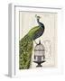 Peacock Birdcage I-Hugo Wild-Framed Art Print