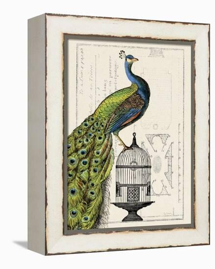 Peacock Birdcage I-Hugo Wild-Framed Stretched Canvas