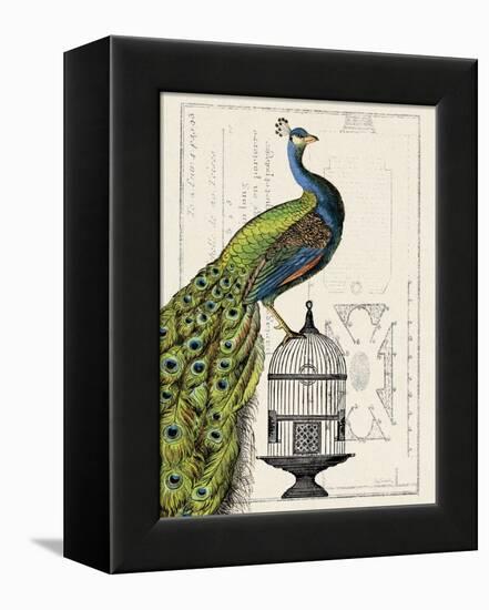 Peacock Birdcage I-Hugo Wild-Framed Stretched Canvas