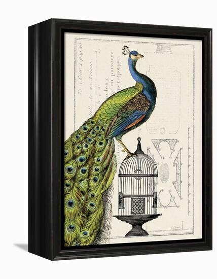 Peacock Birdcage I-Hugo Wild-Framed Stretched Canvas