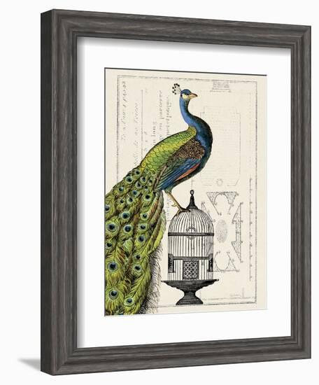 Peacock Birdcage I-Hugo Wild-Framed Art Print