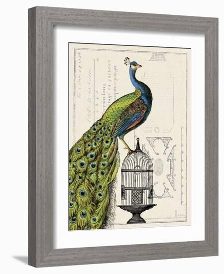 Peacock Birdcage I-Sue Schlabach-Framed Art Print