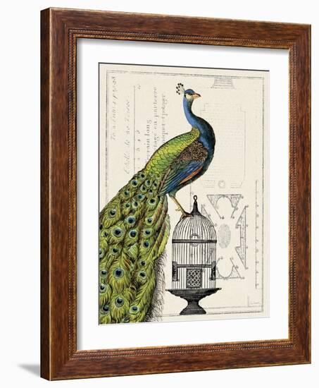 Peacock Birdcage I-Sue Schlabach-Framed Art Print