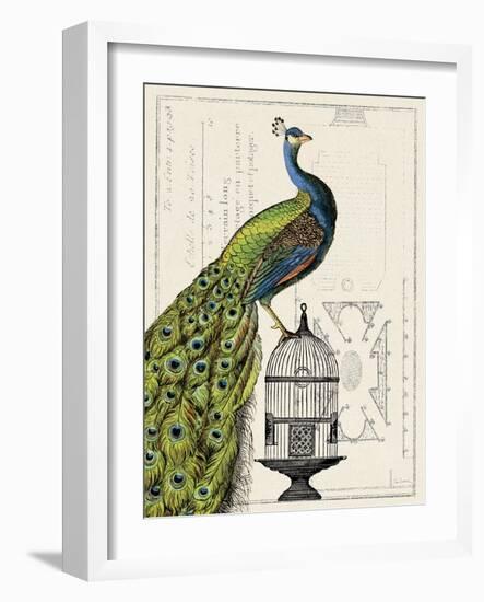 Peacock Birdcage I-Sue Schlabach-Framed Art Print