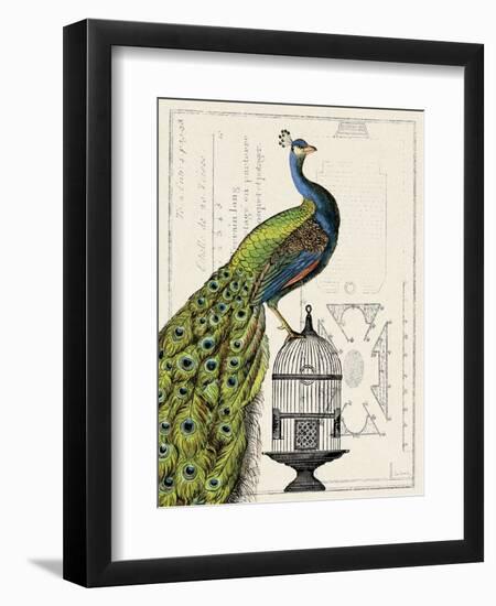 Peacock Birdcage I-Sue Schlabach-Framed Art Print