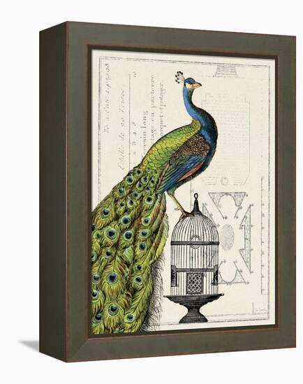 Peacock Birdcage I-Sue Schlabach-Framed Stretched Canvas