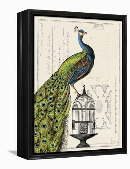 Peacock Birdcage I-Sue Schlabach-Framed Stretched Canvas