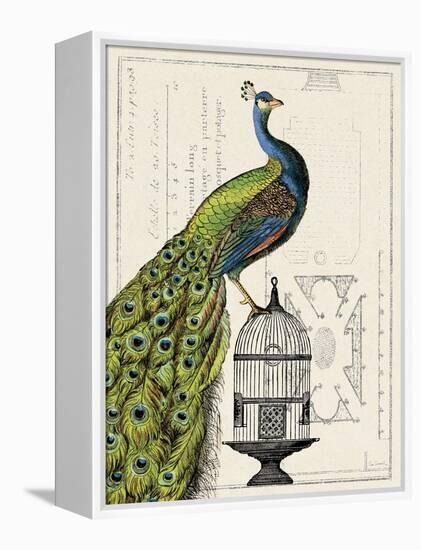 Peacock Birdcage I-Sue Schlabach-Framed Stretched Canvas